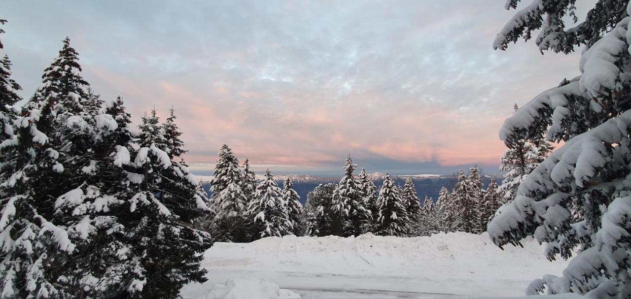 Grand Chalet Standing Avec Jacuzzi A Chamrousse Ski 1750 Buitenkant foto